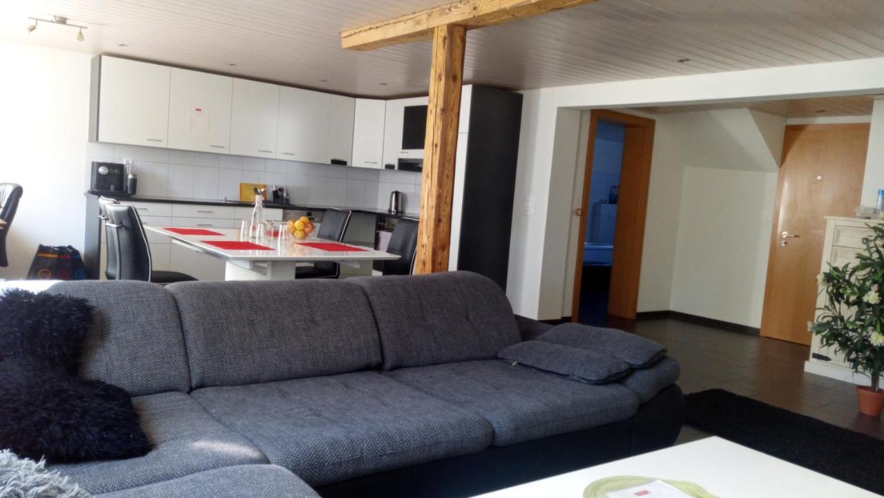 3 Doppelbett Business Apartment am Bodensee Arbon Exterior foto